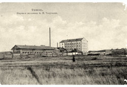 Тюмень. Паровая мельница, 1912